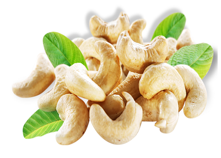 CASHEW