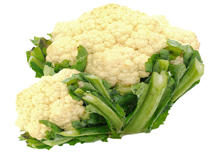 IQF CAULIFLOWER