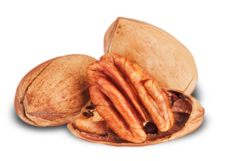 PECAN NUTS
