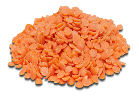 RED LENTILS