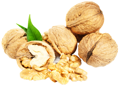 WALNUTS